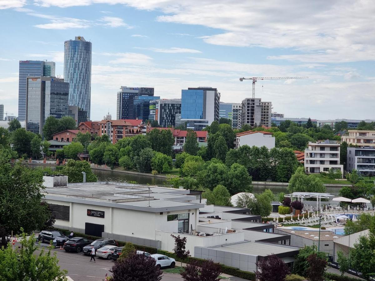 Grand Look & Location For Business On * Bucureşti
